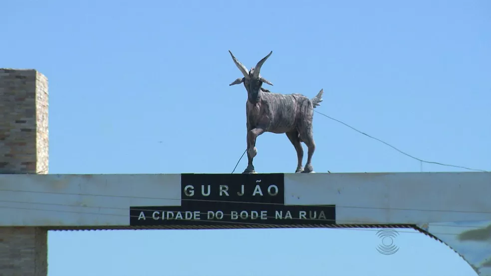 Festa do Bode na Rua começa dia 29, em Gurjão